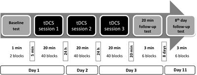 Differential Effects of Transcranial Direct Current Stimulation (tDCS) Depending on Previous Musical Training